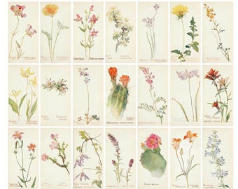 Vintage Wildflower Collage Sheet: Western American Art (JPEG, PDF Digital Download) Commercial Use CU
