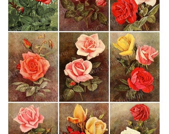 Printable Vintage Roses Floral, Flowers Collage Sheet, JPEG PDF, Instant Downloadable, Garden Printables, Digital Images, CU, Commercial Use