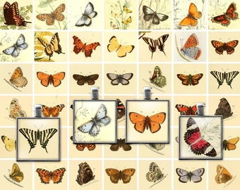 Printable Vintage Butterfly, Butterflies Digital Collage Sheet, 1 Inch squares Images, JPG, One Inch Printables, Download, Commercial Use