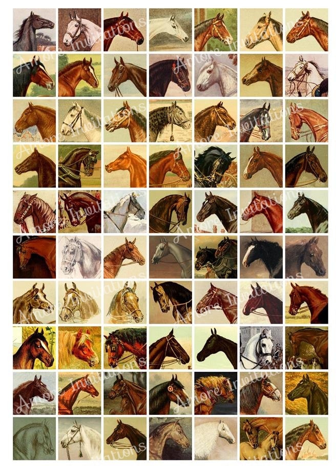 Digital Vintage Horses Collage Sheet Bundle, 1x2 Inch Domino Images, 1 ...