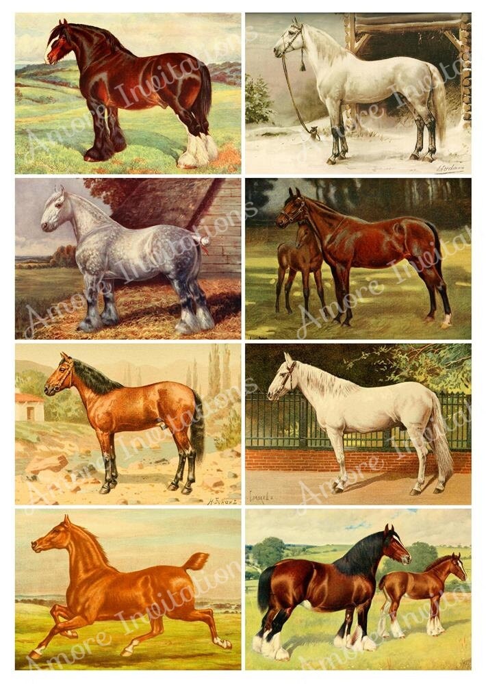 Printable Vintage Horses Digital Collage Sheets Bundle Set, JPEG ...