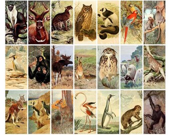 Printable Vintage Wild Animals Digital Collage Sheet, Clip Art, 1x2 inch Domino Images  Lions  Tigers  Elephants  JPEG, CU, Commercial Use