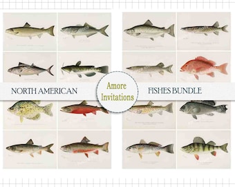 Printable Digital Vintage North American Fishes Collage Sheets, Clip Art Images ATC, JPEG, PDF, Instant Download, Cu, Commercial use