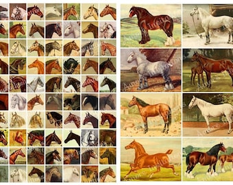 Vintage Horses Collage Sheets: Junk Journal Embellishments (Digital Download)