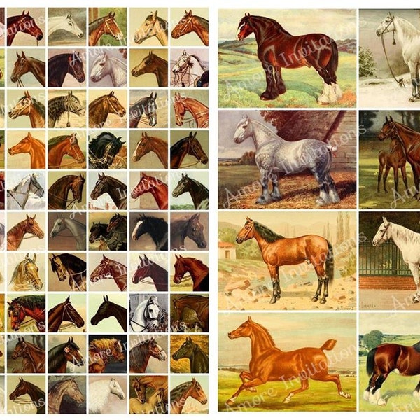 Printable Vintage Horses Digital Collage Sheets Bundle Set, JPEG, Instant Download, Downloadable, Junk Journal printables, Commercial use