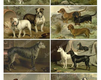 Printable Digital Vintage Dogs Collage Sheet, Clip Art, Charles Burton Barber, JPEG, Instant Download, Cu Use, Commercial use