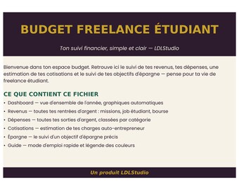 Freelance Student Budget, Financial Tracking with Google Sheets and Excel, Income and Expense Tracker for Self-Employed Individuals, Digital File