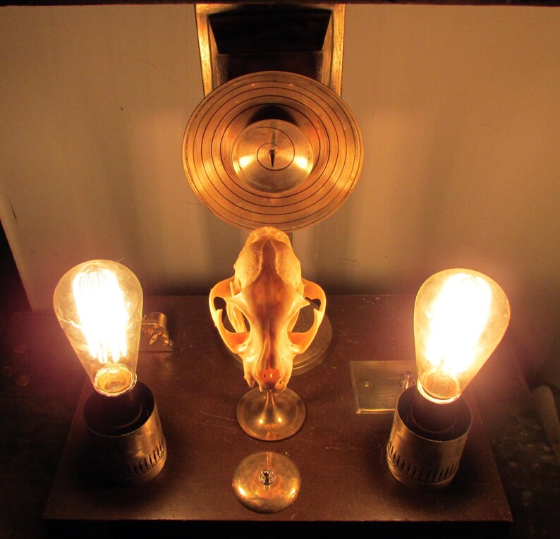 Victorian mad science oddity psychotropic mind control device Etsy