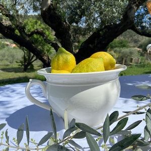 Peut inclure: Un bol en céramique blanc avec une poignée, rempli de citrons jaunes. Des branches d'olivier avec des feuilles vertes et de petites fleurs sont au premier plan. L'arrière-plan montre des arbres et une nappe blanche.