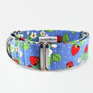 Strawberries on Blue Adjustable Dog Collar - Martingale Collar or Side Release Buckle Collar  -
