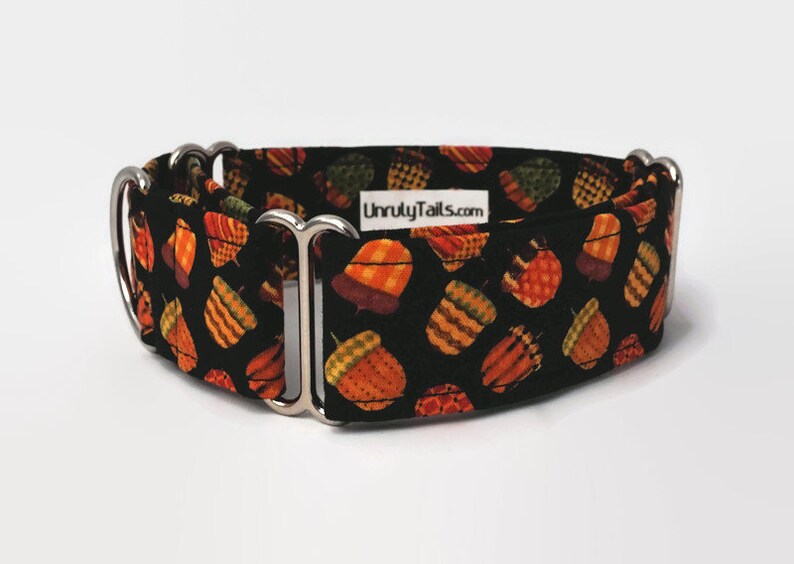 Acorns Adjustable Dog Collar Martingale Collar or Side Release Buckle Collar