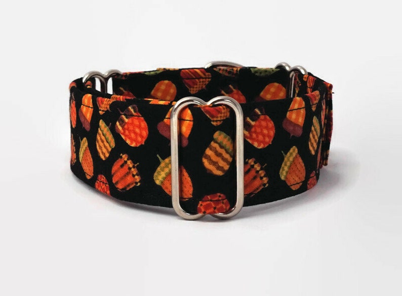 Acorns Adjustable Dog Collar Martingale Collar or Side Release Buckle Collar