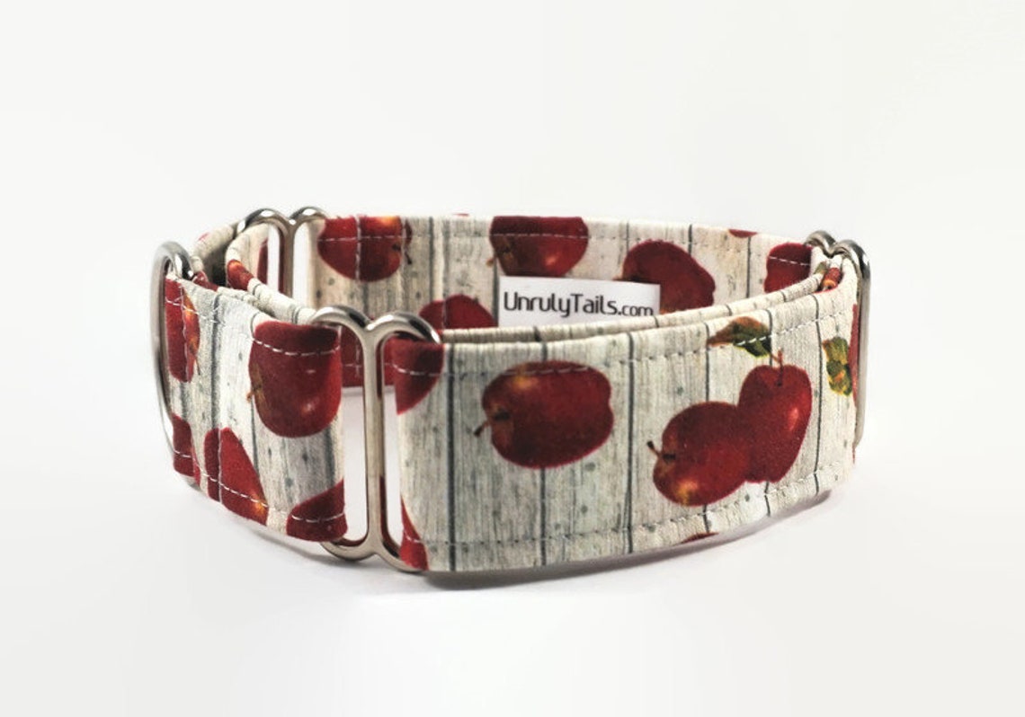 Apples Adjustable Dog Collar Martingale Collar or Side Etsy