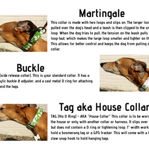 Puede incluir: Una comparaci&oacute;n de tres tipos diferentes de collares para perros: Martingale, Buckle y Tag aka House Collar. Cada collar se muestra en un perro con un collar estampado en verde y blanco. El texto describe las caracter&iacute;sticas de cada collar.