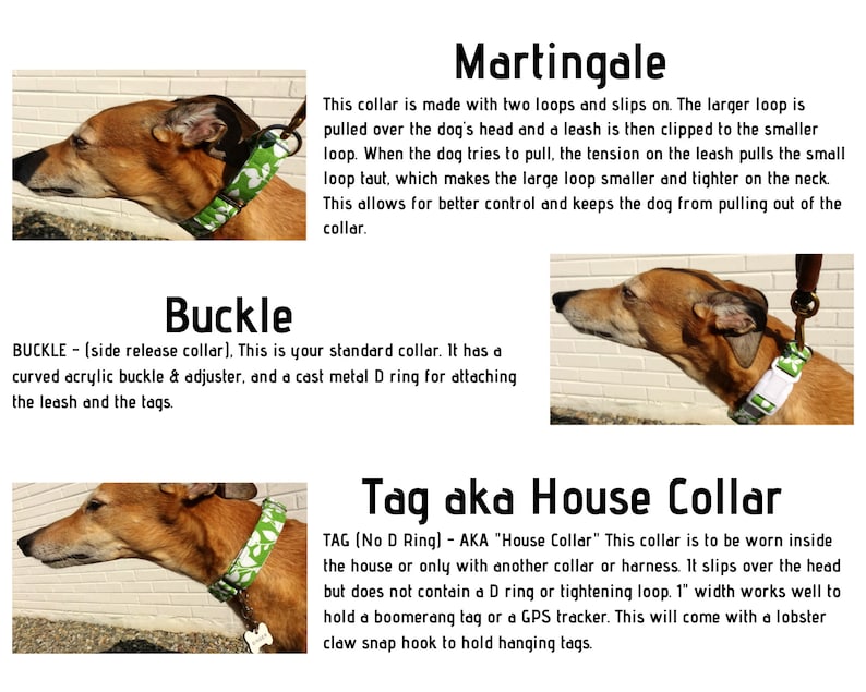 Puede incluir: Una comparaci&oacute;n de tres tipos diferentes de collares para perros: Martingale, Buckle y Tag aka House Collar. Cada collar se muestra en un perro con un collar estampado en verde y blanco. El texto describe las caracter&iacute;sticas de cada collar.