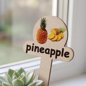 May include: A small white ceramic pot containing a green succulent plant and a light-colored wooden plant marker. The marker features a graphic of a whole pineapple and pineapple slices, with the word pineapple printed in bold black letters.