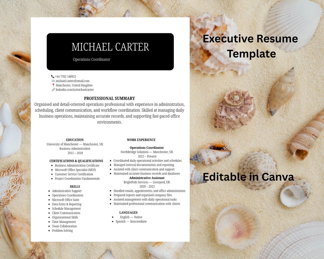 Modern Executive Resume Template - Etsy