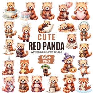 May include: A collection of watercolor illustrations featuring red pandas in various poses and activities, including holding hearts, wearing hats, and interacting with objects like cups, gifts, and pumpkins, with the text CUTE RED PANDA WATERCOLOR CLIPART BUNDLE 65+ PNG.
