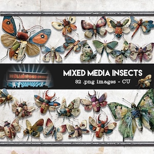 May include: A collection of mixed media insect illustrations, including butterflies, beetles, and dragonflies. The insects feature a collage of colors and textures, with a variety of wings and body shapes. The image includes the text "Mixed Media Insects" and "82 .png images - CU".