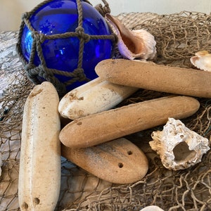 May include: A collection of driftwood and seashells arranged on a fishing net. The driftwood is in various shapes and sizes, some are smooth and white, others are rough and brown. The seashells are a variety of colors and shapes, including a large conch shell.