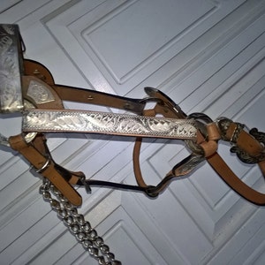 Horse Halter With Silver Accents