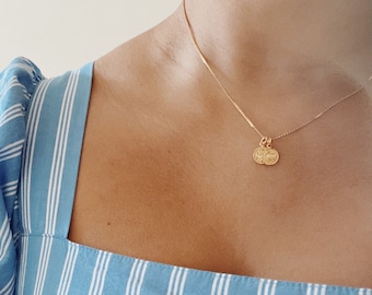 Dainty Brass Zodiac Coin Disc Necklaces