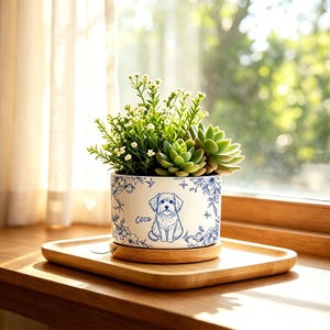 Puede incluir: Una maceta cilíndrica de cerámica blanca con un patrón floral azul y un dibujo lineal de un perro pequeño con el nombre Coco impreso al lado. La maceta contiene plantas de hojas verdes y una suculenta sobre una base de madera redonda.
