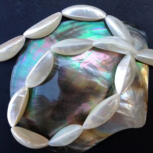 May include: A strand of luminous, elongated, off-white beads arranged on a shimmering, iridescent abalone shell. The beads are smooth and oval-shaped, suggesting a jewelry component or decorative element. The background is a dark, solid color.