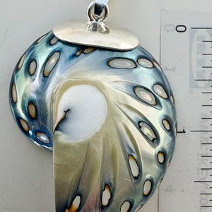 May include: A nautilus shell pendant with an iridescent blue and cream surface featuring dark brown oval spots. The pendant is attached to a silver-colored metal bail. A ruler visible on the right shows the shell is approximately 1.75 inches long.