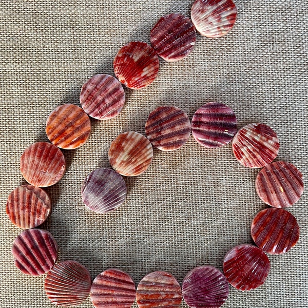 Sea Shell Beads Scallops (Pink)