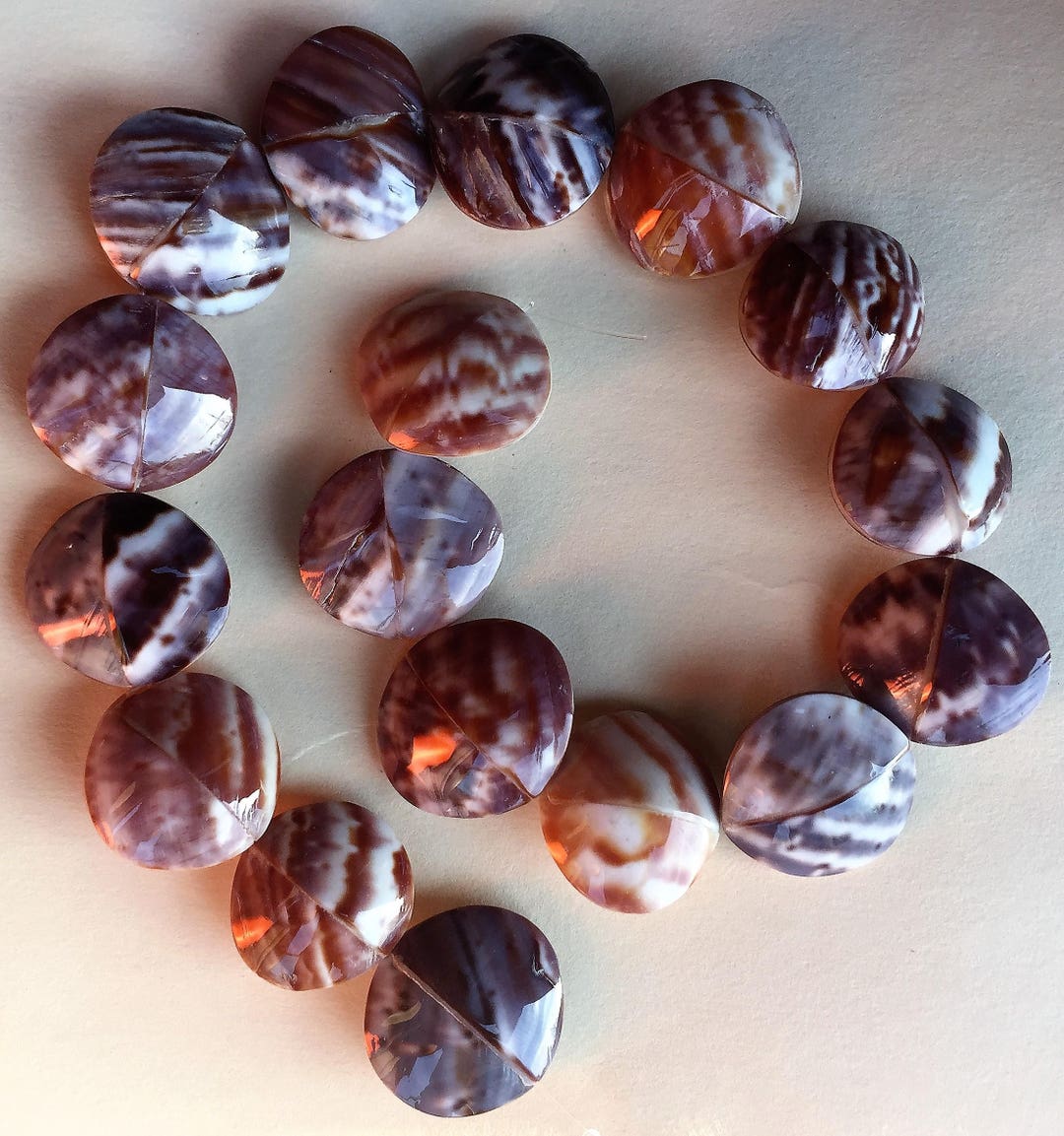 Round Convex Beads From Land Snail Shell - Etsy