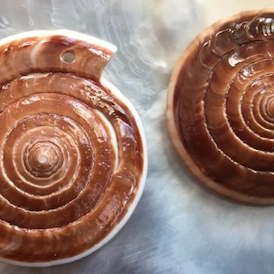 May include: Two brown and white spiral-shaped shell pendants. The shells have a glossy finish and a hole drilled near the edge for stringing. The spiral pattern is prominent, with a light brown center and darker brown outer rings.