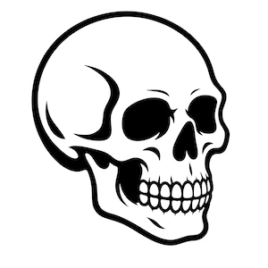 Pode incluir: Ilustração a preto e branco de um crânio humano. O crânio é retratado em perfil, com detalhes como as órbitas, a cavidade nasal e os dentes. O design utiliza contornos pretos espessos sobre um fundo branco.