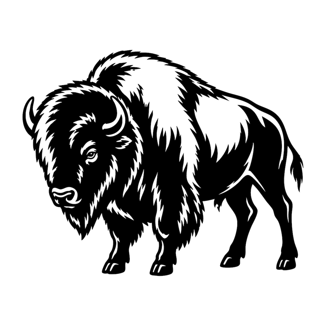 Bison Art Cut File – Bison Illustration (commercial Use, Instant ...