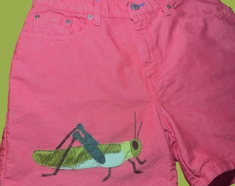 2000’s Levi's Patchwork Grasshopper Red Jean Shorts