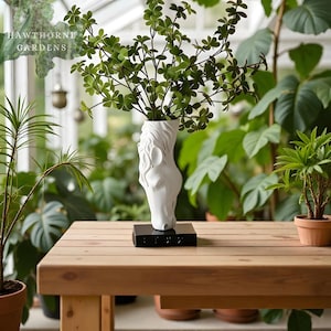 Op de afbeelding: Een witte keramische vaas in de vorm van een paardenkop, gevuld met groene takken. De vaas staat op een zwarte rechthoekige basis op een houten tafel. De tekst "HAWTHORNE GARDENS" is zichtbaar. De achtergrond is een kas.
