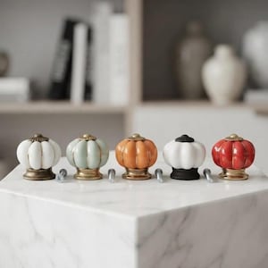 Può includere: Cinque pomelli per armadietti a forma di zucca in bianco, verde chiaro, arancione, bianco con base nera e rosso. Ogni pomello presenta una parte superiore in ceramica a coste e una base metallica, con una piccola vite di montaggio argentata.