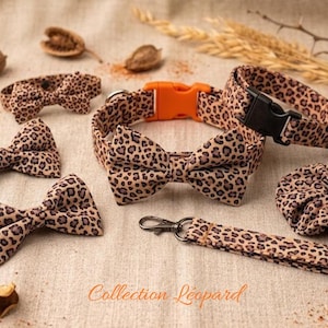 Peut inclure: Un ensemble d'accessoires à motif léopard comprenant trois nœuds papillon, un collier pour animal avec une boucle en plastique orange, une dragonne avec un mousqueton en métal et un chouchou. Le texte Collection Léopard est visible.