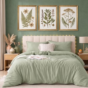 May include: A bedroom scene featuring a sage green duvet cover and matching pillows. Three framed botanical prints hang above the bed. The room is decorated with neutral-toned furniture and accessories, creating a calming atmosphere.