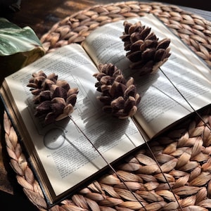 May include: Three handcrafted felt pinecones in shades of brown and tan, each attached to a thin, dark wire stem. The pinecones are arranged on top of an open, vintage-style textbook with visible printed text and technical diagrams on the pages.