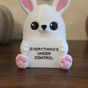 May include: A white rabbit figurine with pink inner ears and paw pads, black eyes, and a black nose. The rabbit holds a white rectangular sign with the black text "EVERYTHING'S UNDER CONTROL" printed on the front in a clear, sans-serif font.