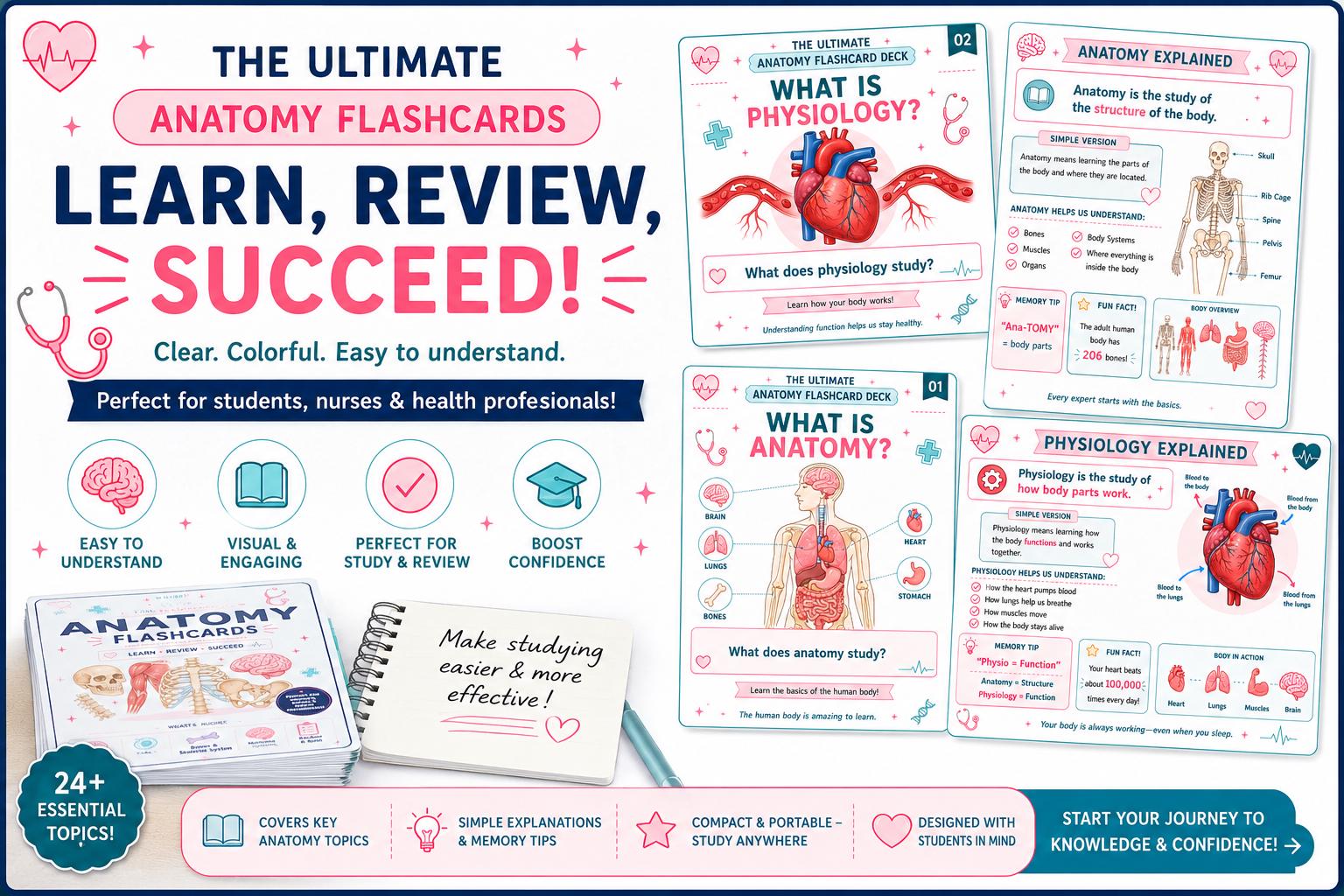 Anatomy Flashcards for Students | Human Body Study Cards (digital ...