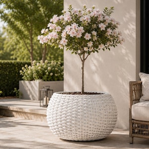 Può includere: Un albero fiorito in una fioriera bianca intrecciata. L'albero ha un tronco sottile ed è sormontato da fiori rosa chiaro. La fioriera è rotonda e poggia su un patio in pietra, con una sedia in vimini e un cuscino sullo sfondo.
