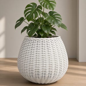 Puede incluir: Una planta Monstera de color verde vibrante con hojas grandes y divididas, colocada en una maceta redonda de mimbre blanco. La maceta presenta un diseño texturizado tipo cesta con un borde grueso y trenzado, ofreciendo un aspecto limpio y estructurado.