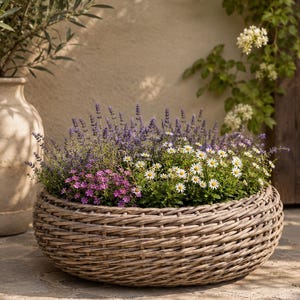 Puede incluir: Una maceta redonda y baja de mimbre trenzado, llena de un vibrante arreglo de lavanda morada, pequeñas flores blancas similares a las margaritas y racimos de diminutas flores rosas, creando una densa y colorida exhibición botánica.
