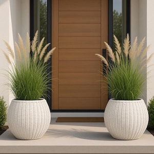 May include: Two round, white woven planters containing tall, green ornamental grass with feathery, light tan plumes. The planters have a textured, basket-like appearance and are positioned symmetrically on either side of a wooden front door.
