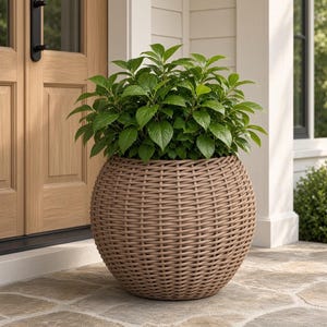 May include: A spherical, light brown woven planter with a textured, basket-like exterior. The planter contains a lush, vibrant green plant with numerous pointed, oval-shaped leaves that fill the top opening and extend outward in a rounded shape.
