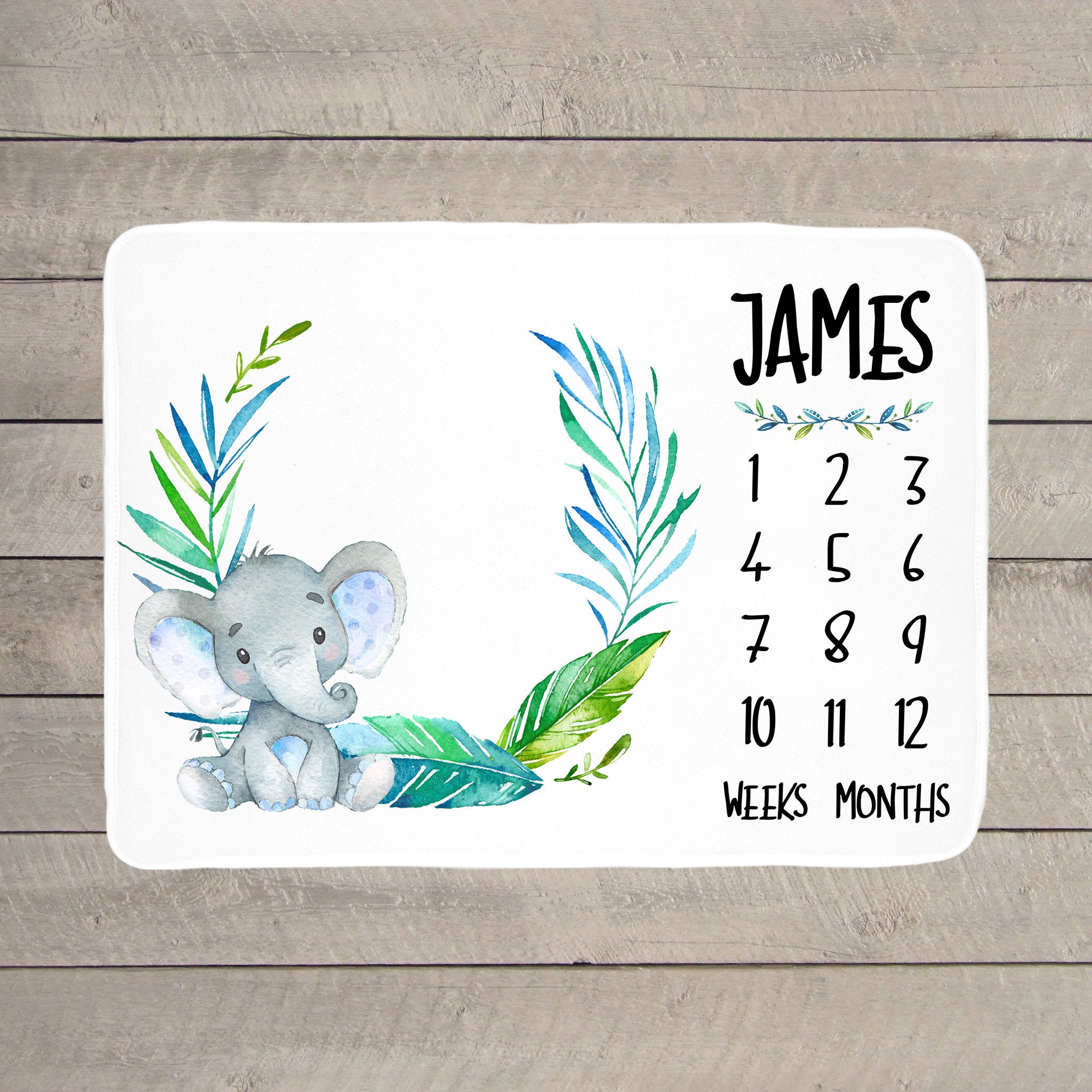Baby Boy Elephant Milestone Blanket Baby Milestone Blanket Etsy