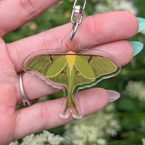 May include: A clear acrylic keychain featuring a detailed illustration of a lime green Luna moth with long, trailing hindwings, a bright yellow thorax, and small orange antennae, attached to a silver-toned metal lobster claw clasp.
