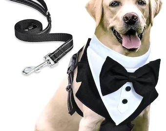 Set composto da pettorina e guinzaglio eleganti per cani, gilet regolabile per animali domestici, abbigliamento per cani di piccola taglia